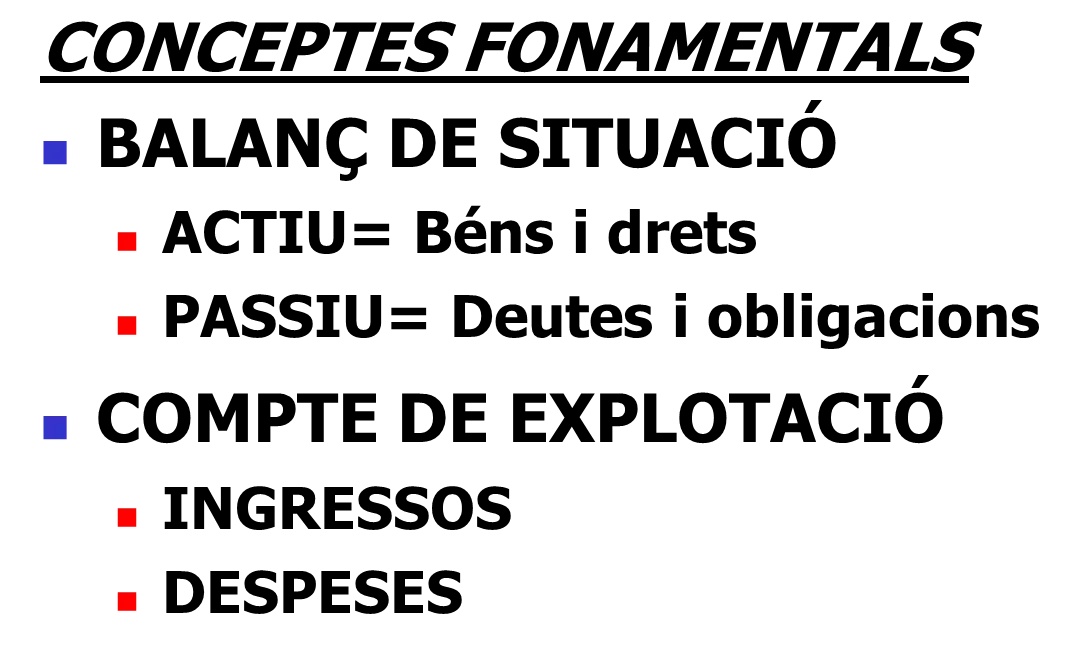 Imatge balanç de situació i compte explotació. Font: Suport Associatiu