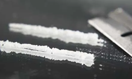El nivell de puresa de l’èxtasi, la cocaïna i l’speed, és el més elevat en els darrers 5 anys (Font: consumodrogas)