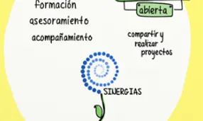 L'organització interna d'Espiral, serveis i espais de participació