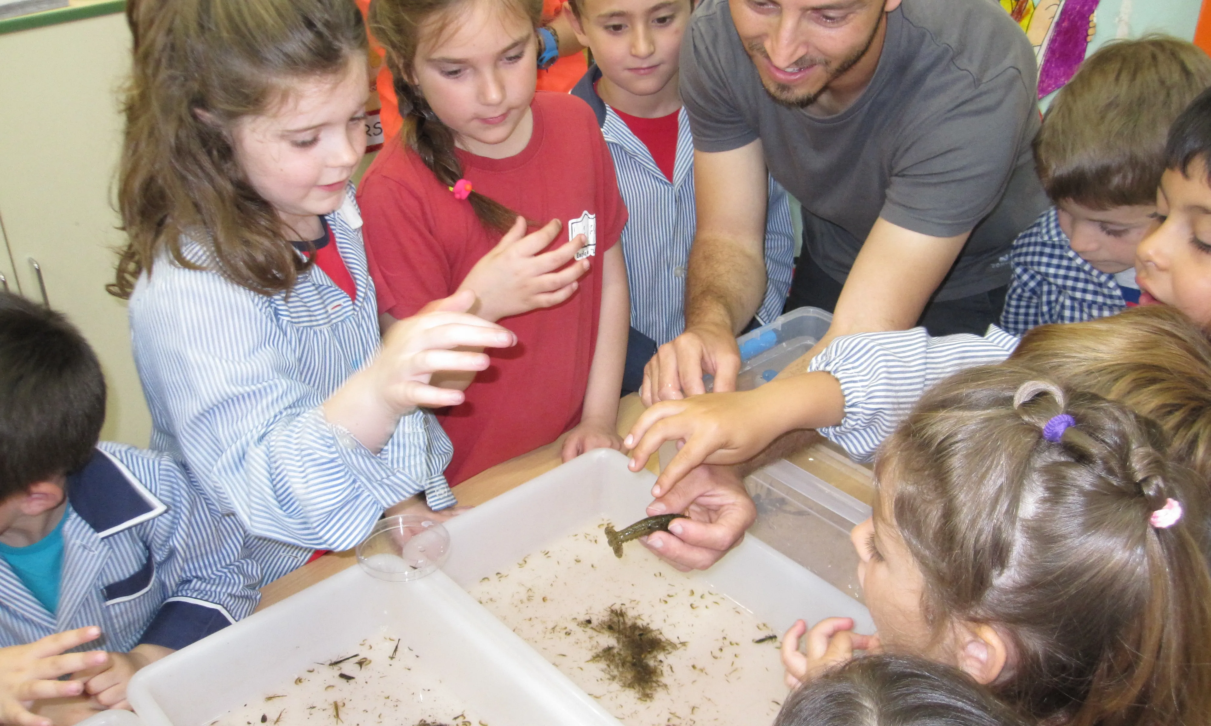 CEN organtiza activitats d'educació ambiental a les escoles