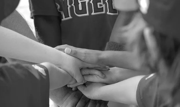 Curs d'iniciació al voluntariat a Tortosa.