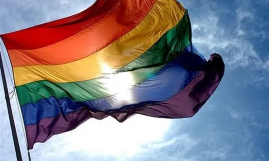 Bandera LGTBI. Font: Kienyke.com