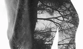 Col·laboracions per un medi ambient sa (imatge:viralpx)