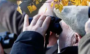 Activitats de natura i d'educació ambiental dissenyades per a gent gran (imatge:monnaturapirineus.com)