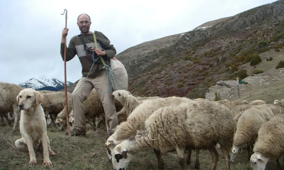 Amb l'Obrador Xisqueta es treballa la llana d'ovella xisqueta, pròpia del Pirineu català (imatge: Obrador Xisqueta)