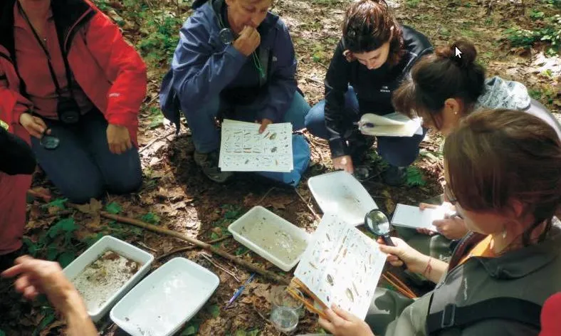 Per avaluar la qualitat biològica d'un riu cal identificar els macroinvertebrats que hi viuen (imatge: Associació Hàbitats)