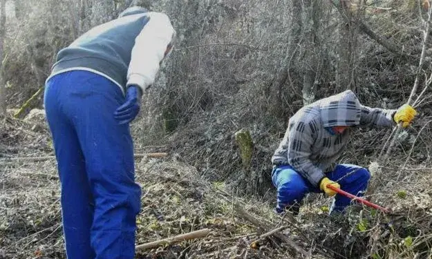 La formació tindrà lloc del 6 d'octubre al 10 de novembre.