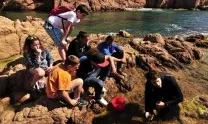 La Fundació Mar treballa per l'estudi, el coneixement i la conservació dels ecosistemes marins litorals del Mediterrani (imatge:Fundació Mar)