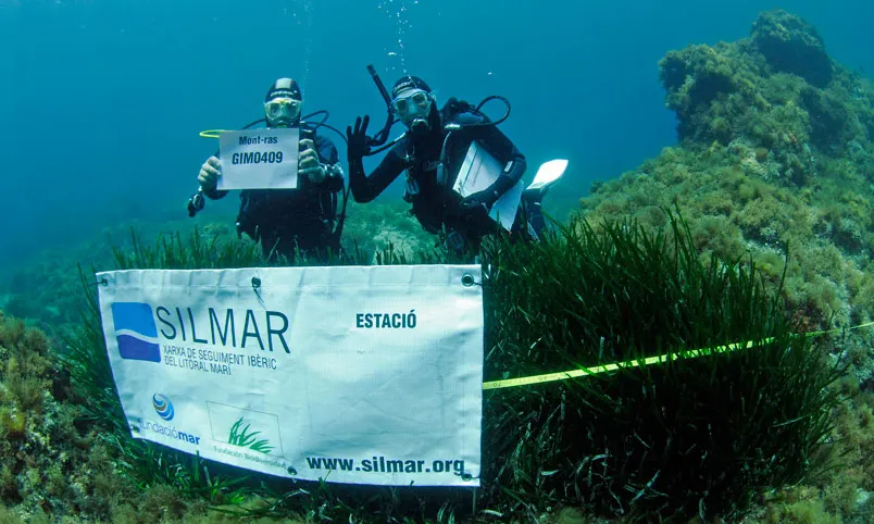 La Fundació Mar coordina el projecte Silmar, de voluntariat ambiental submarí (imatge:Fundació Mar)