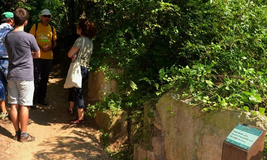 L'Associació Mediambiental La Sínia i l'ecoturisme al Riu Gaià (imatge:riugaia.cat)