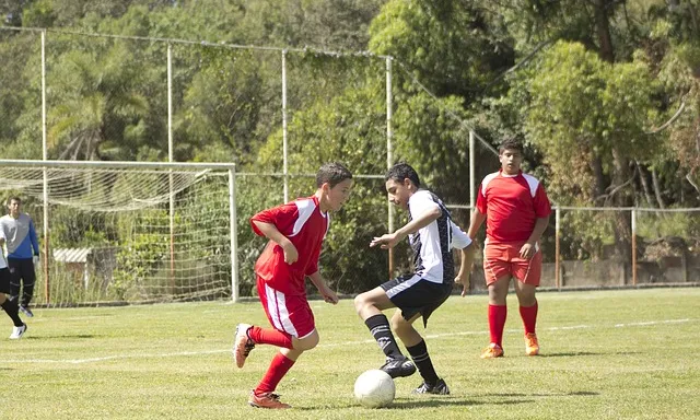 Entitats esportives. Font. Creative Commons