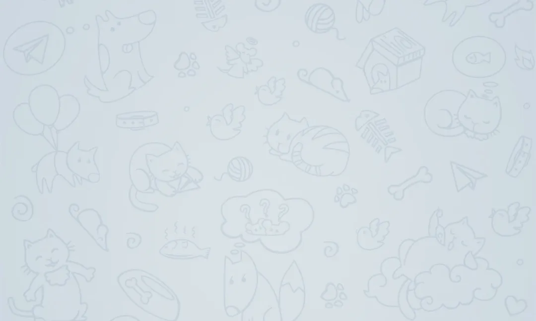 Amb el canal creat, ja podreu començar a enviar missatges.