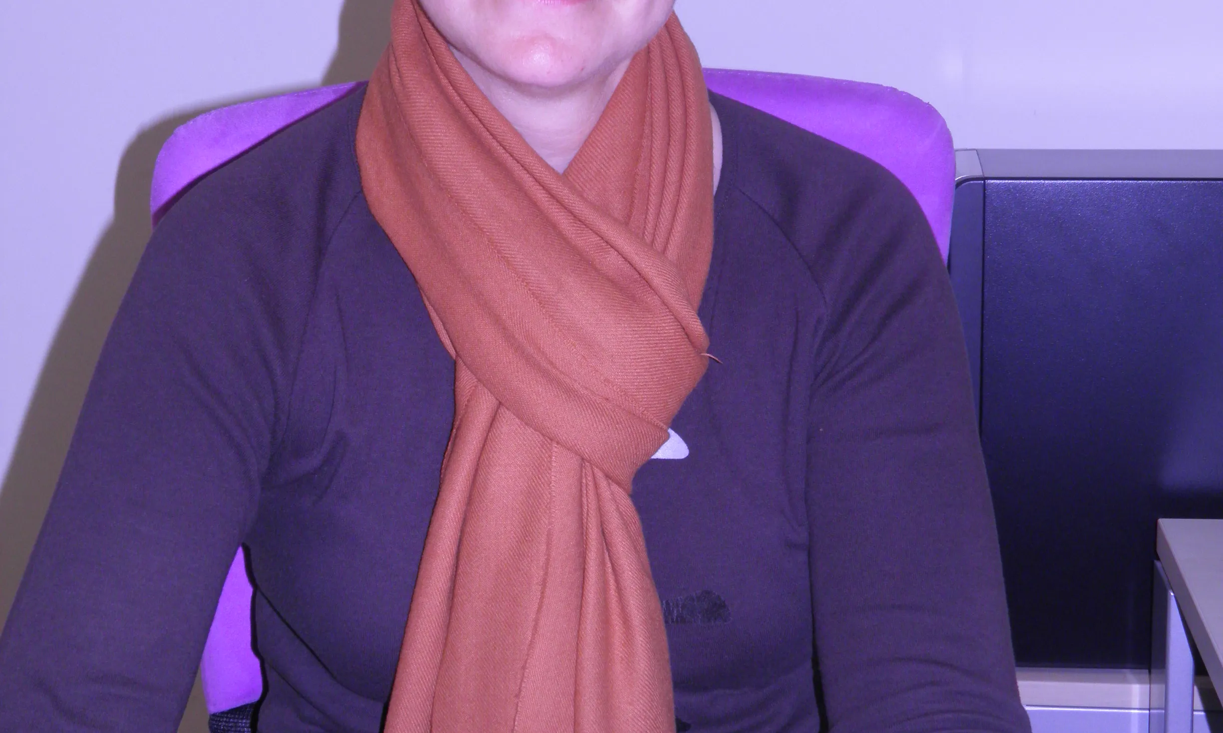 Ana M. Romero, directora del Centre Dolors Piera i coordinadora del nou Mínor en Gènere i Dret de la UdL 