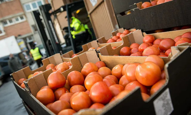 Aliments recollits durant el Gran Recapte 2013.