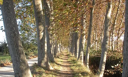 Imatge Parc de la Banqueta. Font: web La Banqueta de Juneda 