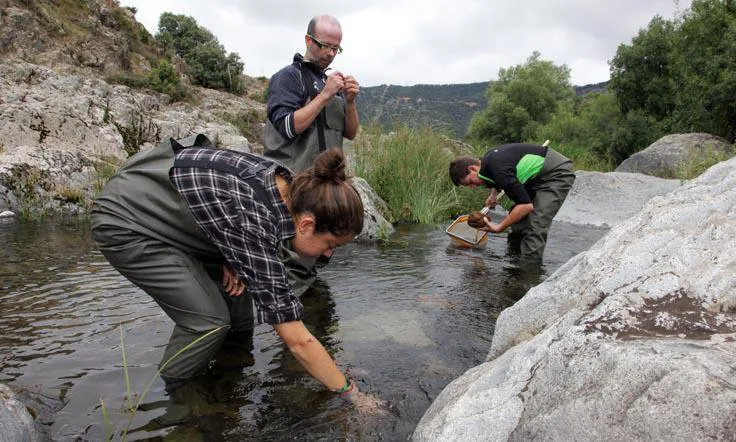 Voluntaris de l'Associació Cen actuant en la millora del riu Siurana (imatge:associació Cen)
