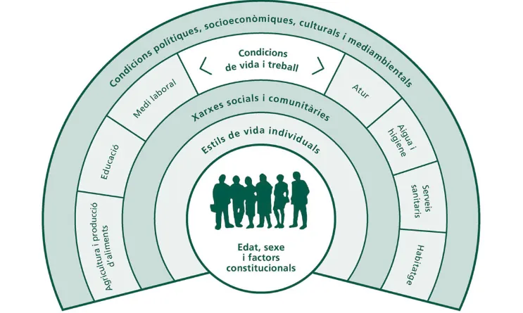 Gràfic dels determinants socials de la salut. Font: Informe de salut de Bacelona 2013