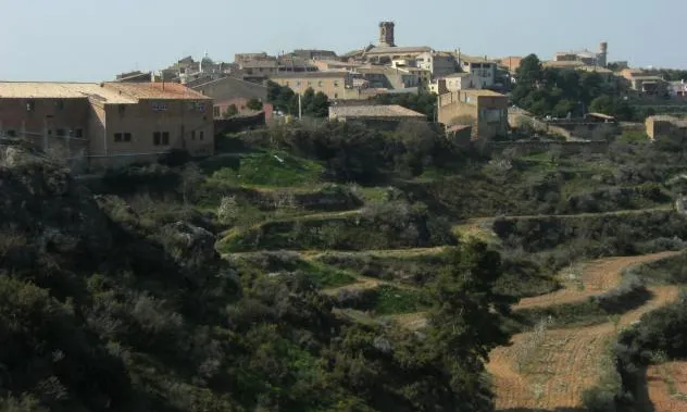 Imatge Granyena de les Garrigues 