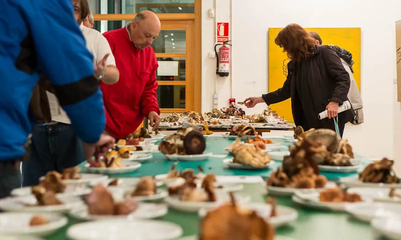 Activitat gastronòmica del Grup de Recerca de Cerdanya.