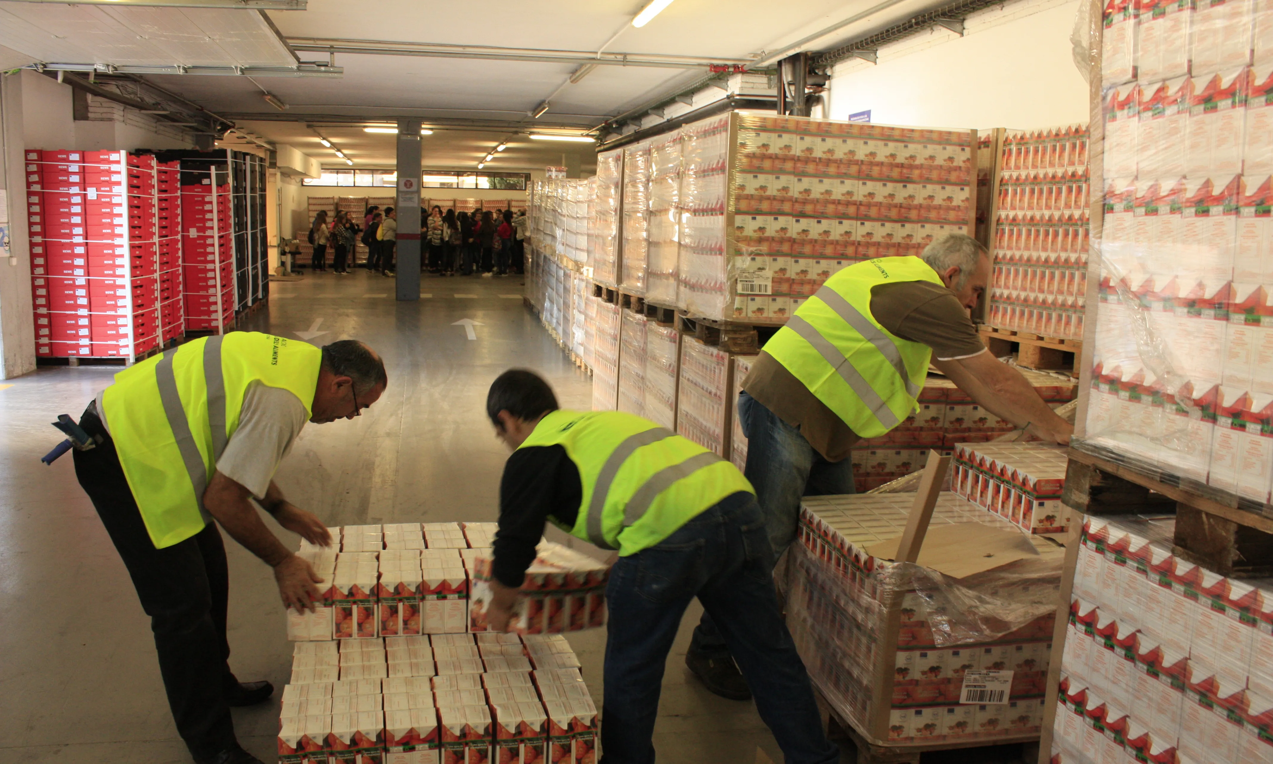 Voluntaris treballen al magatzem del Banc dels Aliments.