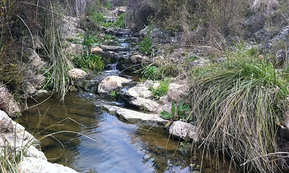 Torrent de Vespella i Salomó està catalogat com a espai de la Xarxa Natura 2000, dins de l’espai Natural Protegit del riu Gaià. (imatge: riugaia.cat)