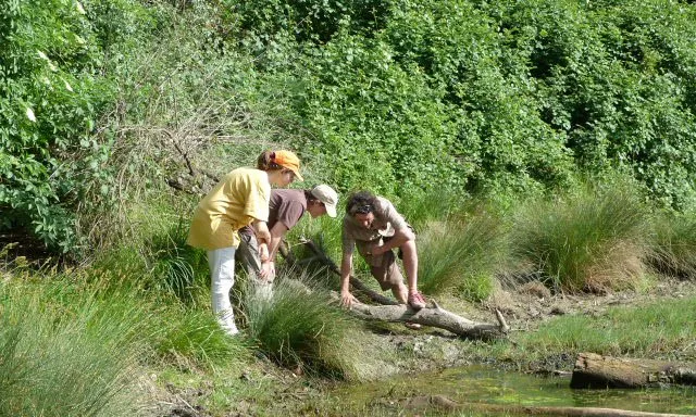 Buscant rastres