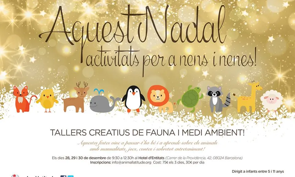Tallers de fauna amb Animal Latitude (imatge:animallatitude.wix.com)