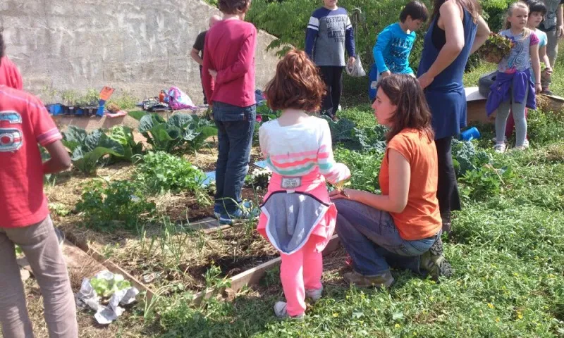 Nois i noies de més d'11 anys poden anar a cuidar l'hort del Gepec (imatge: gepec.cat)