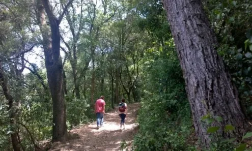 L'entitat ambiental Accionatura i el Parc de Collserola dissenyaran itineraris terapèutics a la serra (imatge:parcnaturalcollserola.cat)