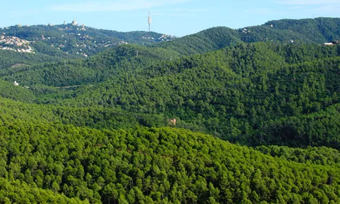 La serra de Collserola forma part de la xarxa Natura 2000, per la protecció d'hàbitats i espècies. (imatge:parcnaturalcollserola.cat)