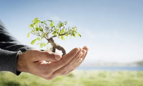 Microdonacions, una nova manera de llaurar. Font: Samarag91, Flickr