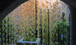 Decoració de Temps de flors a Girona