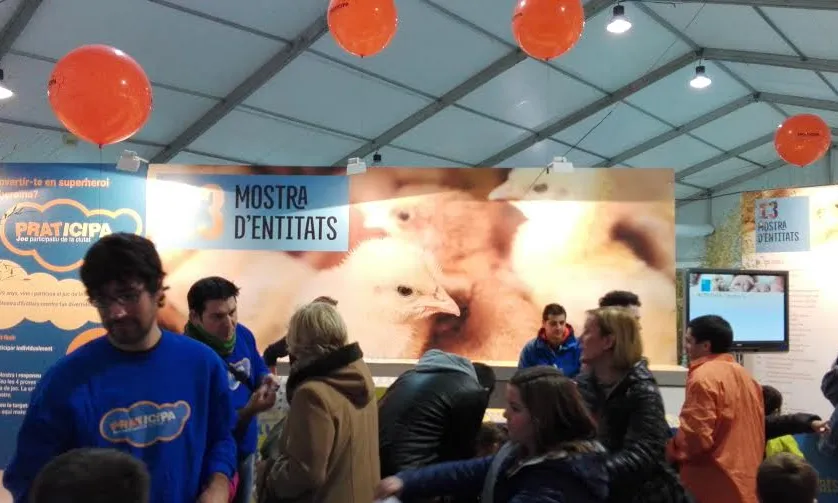 Mostra d'entitats 2015. Font: Suport Associatiu
