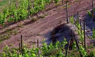 Fragment de la imatge de capçalera del blog de La Garnatxa