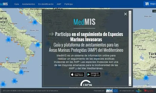 Medmis, una app per geolocalitzar espècies invasores marines (imatge: iucn-medmis.org)dmis