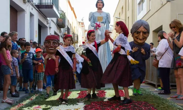 Les pubilles d'Argentona caminat per sobre de les catifes de flors