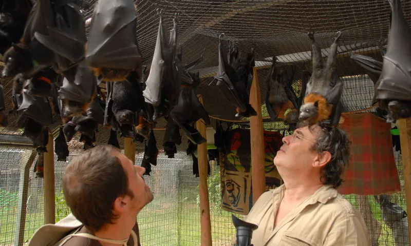 Un moment del rodatge a Austràlia (imatge:humans-and-bats.com)