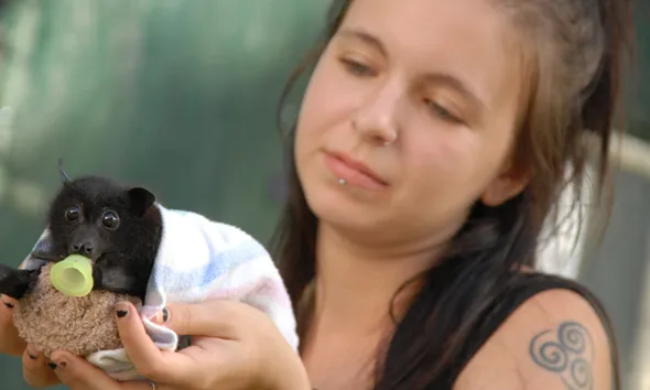 El documental recull diverses experiències de la relació entre humans i ratpenats (imatge:human-and-bats.com)