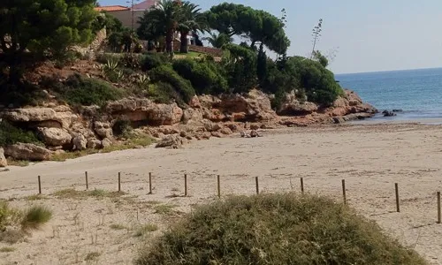 La llacuna a la platja de l'estany Tort és a una de les 5 platges amb més valors naturals de l'Ametlla de Mar (imatge:Paisatgesvius.org)