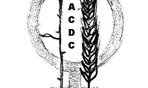 Logo de l'entitat ACDC