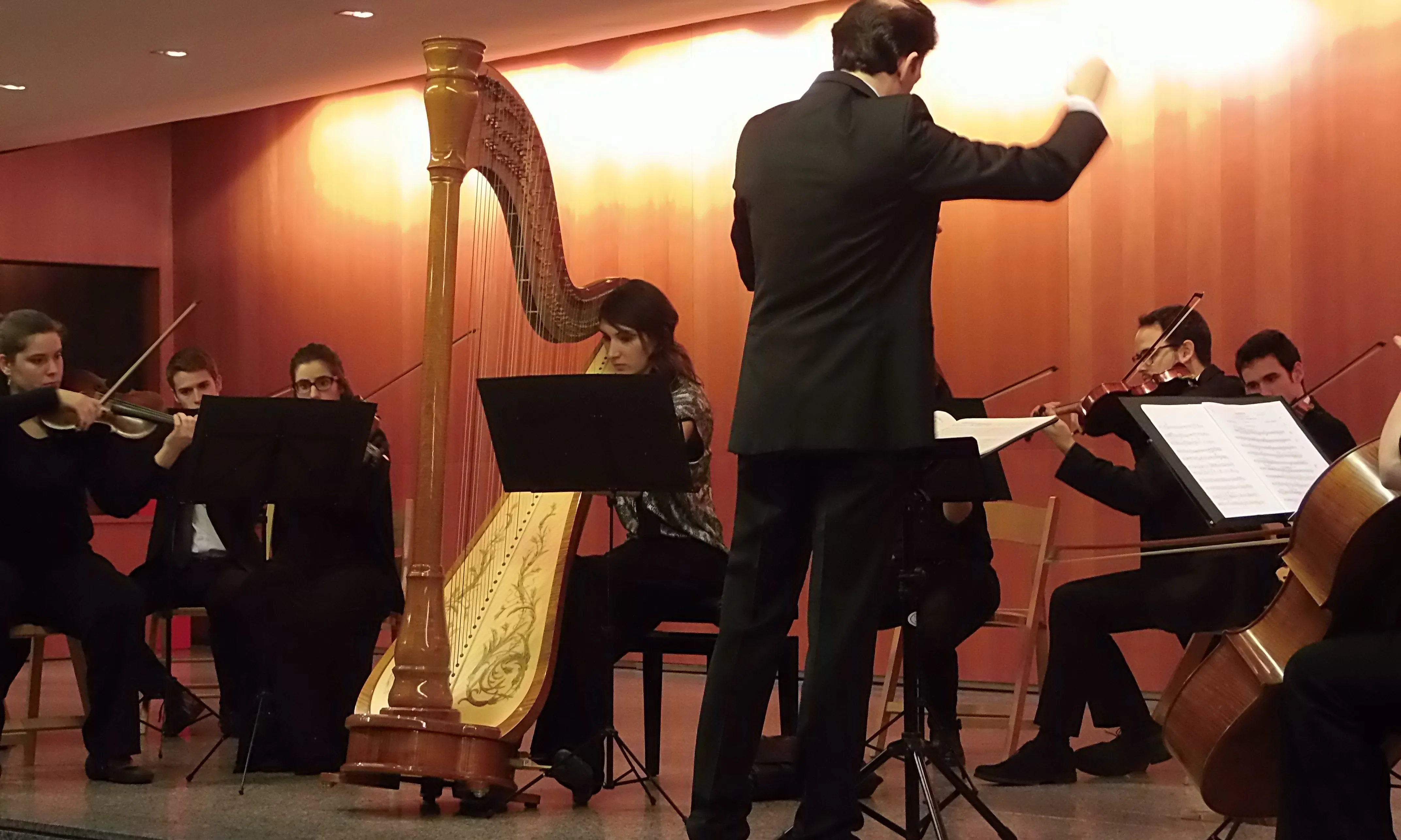 Concert de l'orquestra de la Pompeu, dirigida per Diego Miguel-Urzanqui (Font: UPF Cultura)