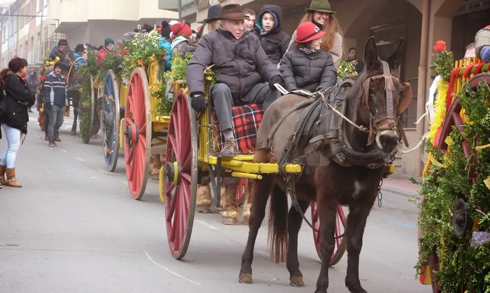 Festes de Sant Antoni Abat-Tonis de Manlleu