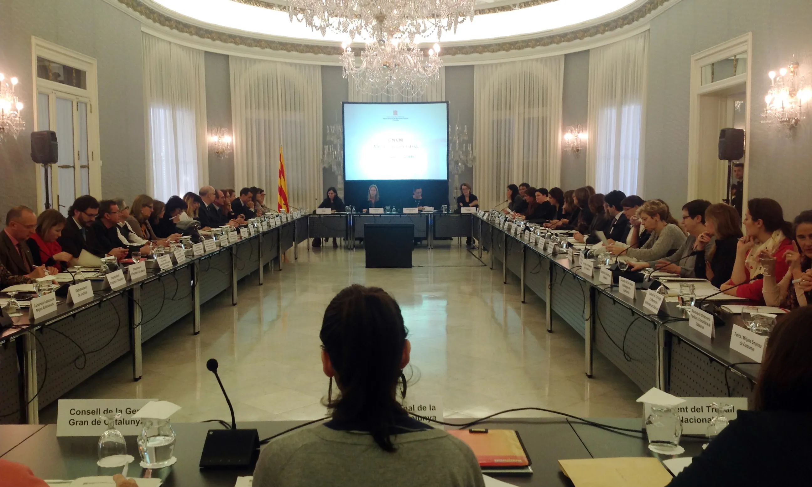 Imatge de la Comissió Nacional per a una Intervenció Coordinada contra la Violència Masclista. Font: web gencat.cat