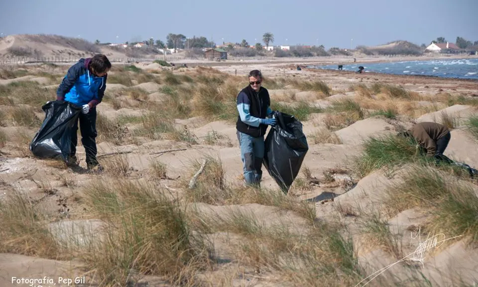 Voluntariat entre les dunes  (imatge:voluntarisPNDE)