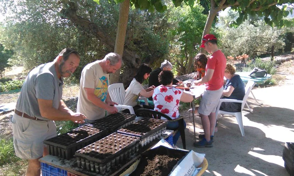 Preparant plançons per un repoblament (imatge:voluntarisPNDE)