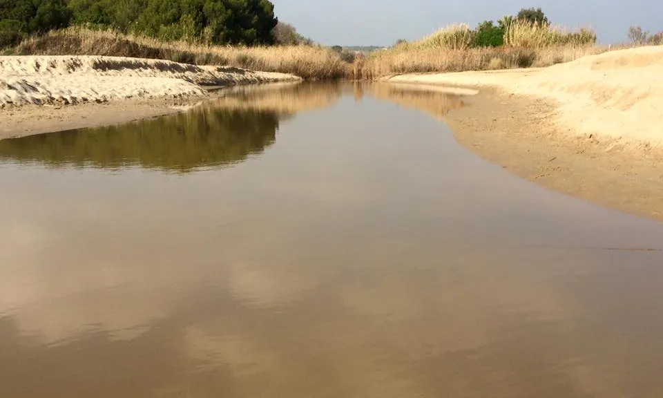 Aigua a la desembocadura del riu Gaià, imatge no sempre possible de veure  (imatge:riugaia.cat)