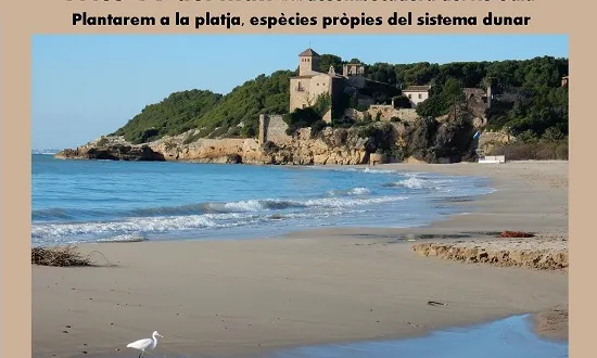 Jornada de voluntariat a la platja de Tamarit, a la desembocadura del riu Gaia (imatge:riugaia.cat)