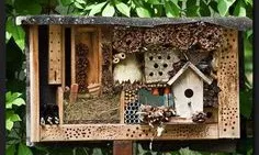 Hotel d'insectes per promoure la biodiversitat (imatge: flickr/diluvi)