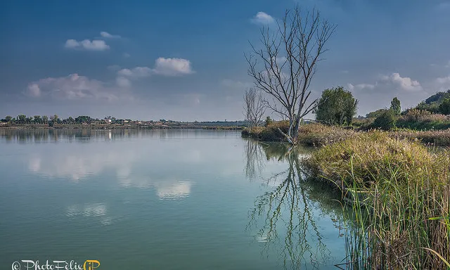 Estany d'Ivars i Vila-Sana. Font: Fèlix González