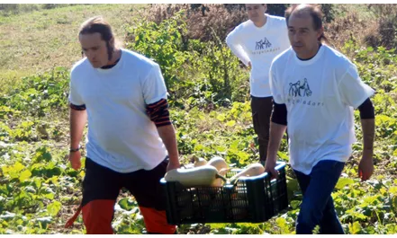 Espigoladors, l'empresa que treballa per combatre el malbaratament alimentari (Font: espigoladors)